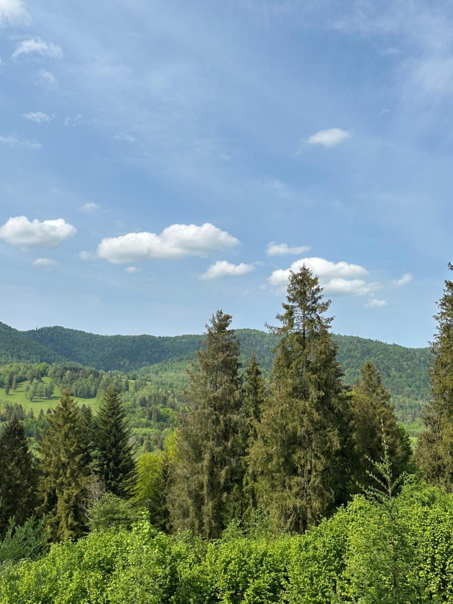 Jurkowa Wola Apartment Jureczkowa Екстериор снимка